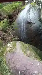 名草厳島神社の自然