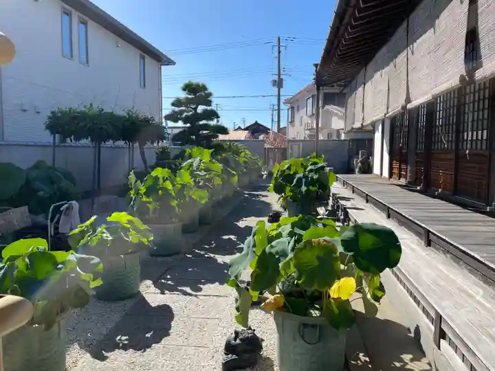 長徳寺(兵庫県)