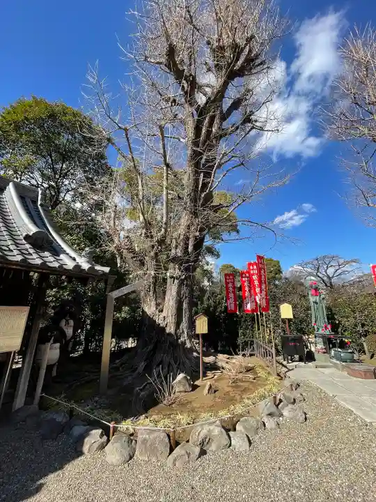 鎮護堂(東京都)