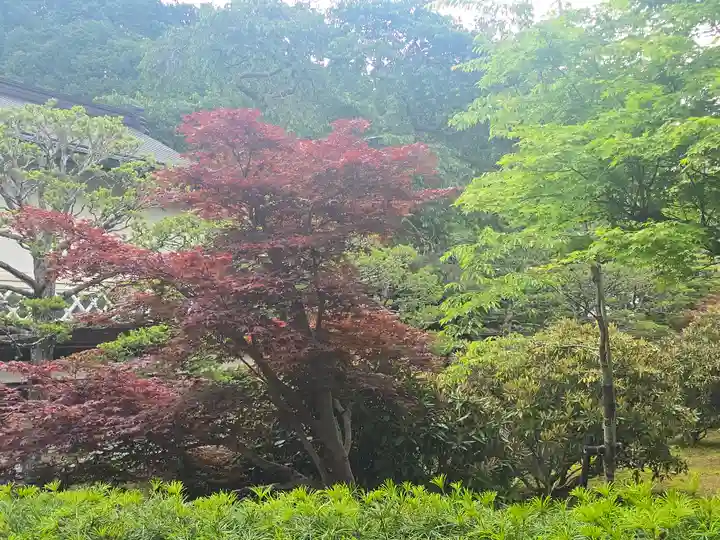 圓満院(和歌山県)