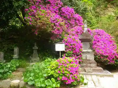 安養院　(田代寺）のその他建物