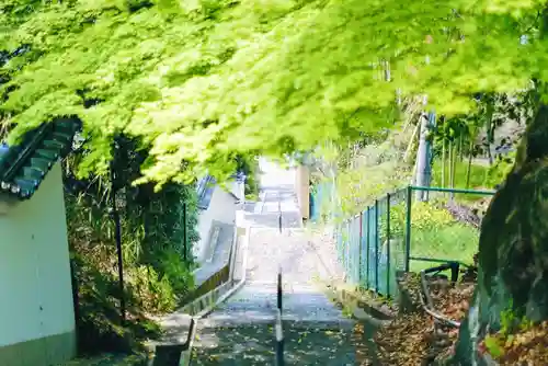 霊明神社の景色