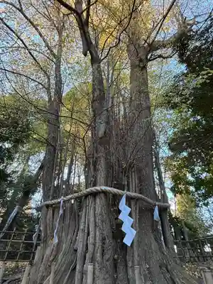大國魂神社(東京都)