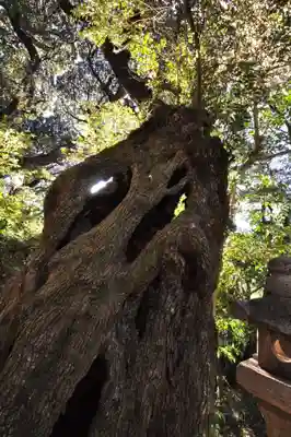 三島神社(愛媛県)