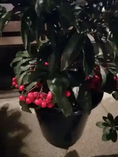 伏木香取神社のその他建物