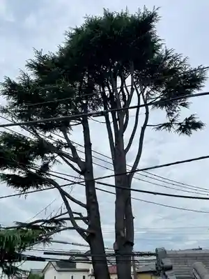 妙行寺(東京都)