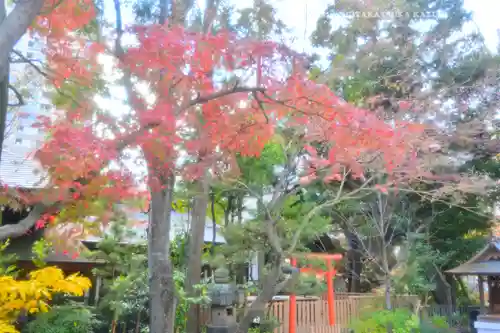 愛宕神社(東京都)