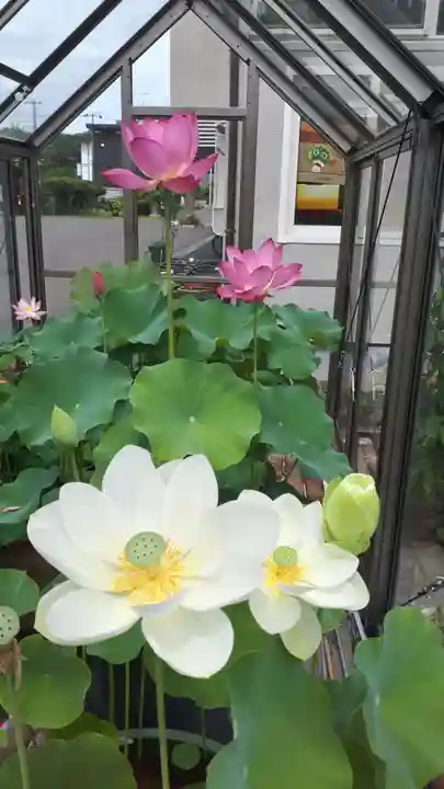 極楽山 浄土寺(北海道)