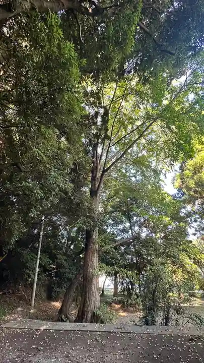 伊奈頭美神社(島根県)