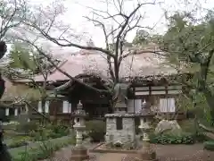 妙興寺(千葉県)