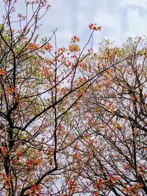 厚別神社(北海道)