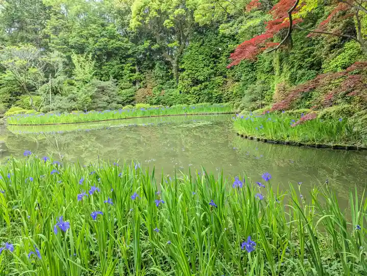 平安神宮(京都府)