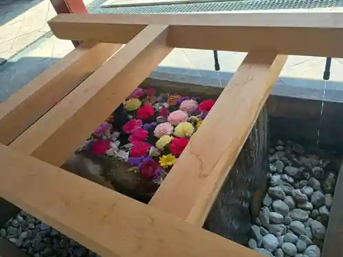 一之宮貫前神社(群馬県)