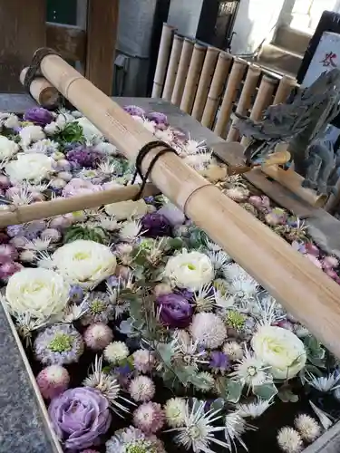 高円寺氷川神社の手水