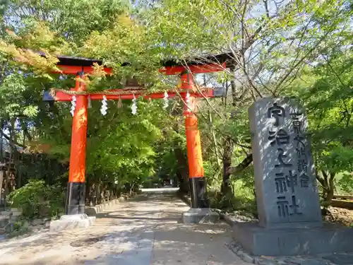 宇治上神社の鳥居