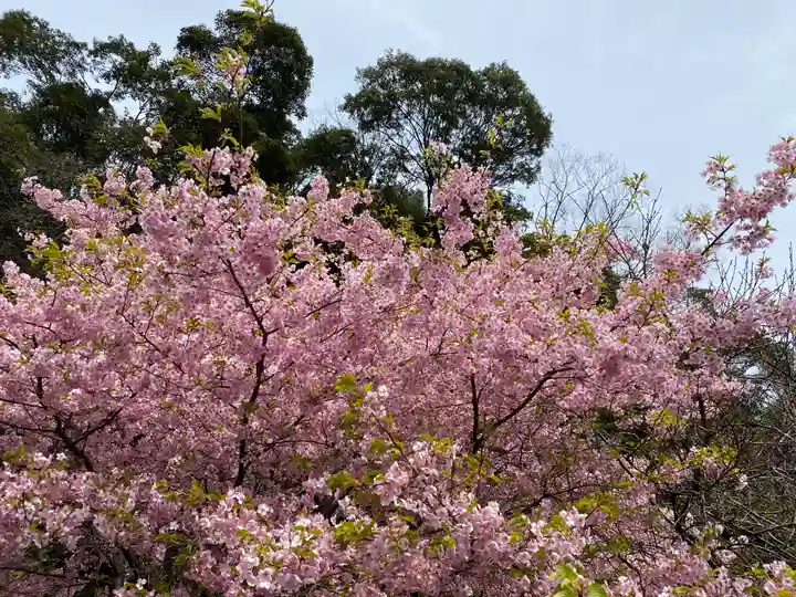 白山神社の自然