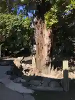 神館神社の自然