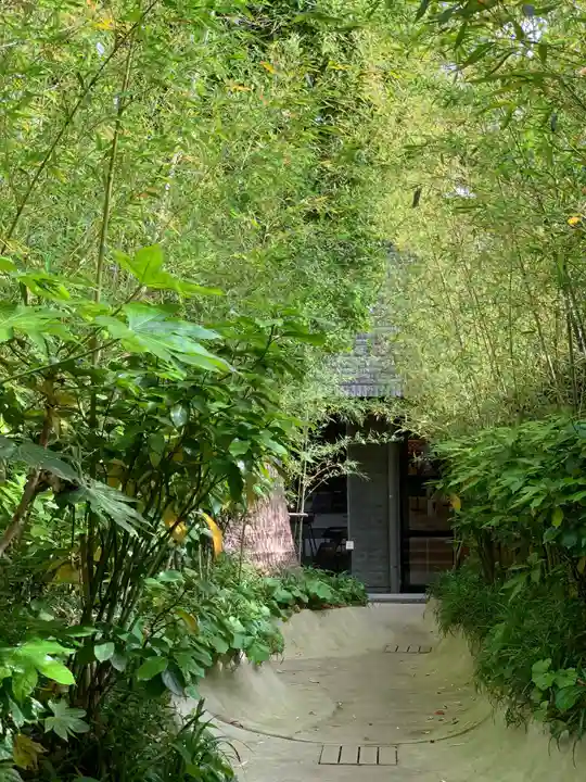 來宮神社の自然