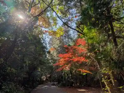 尾張冨士大宮浅間神社(愛知県)