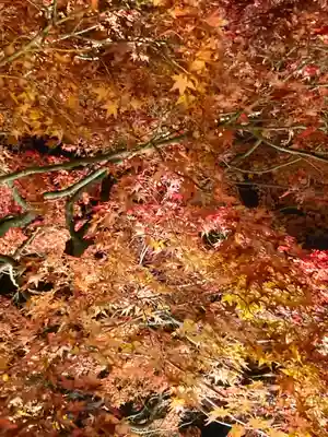 知恩院(京都府)