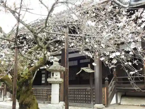 本法寺(京都府)