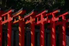 根津神社の鳥居