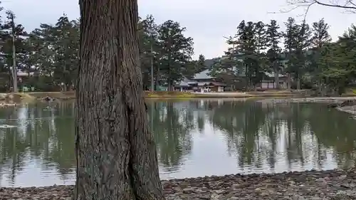 毛越寺(岩手県)