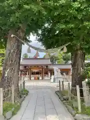 亀ケ池八幡宮の建物その他