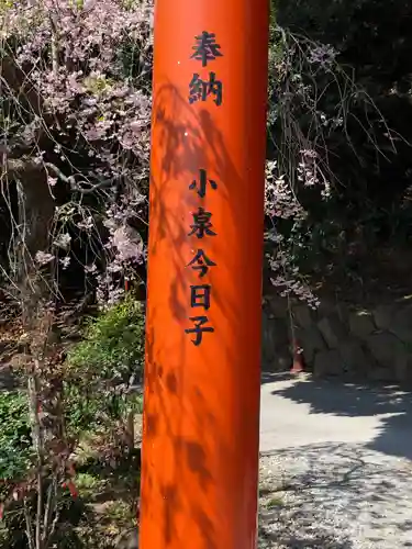 伊豆山神社(静岡県)