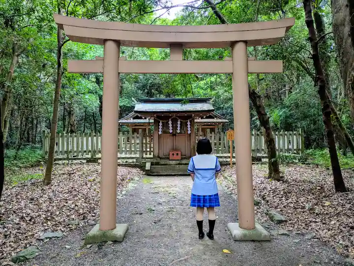 日前神宮・國懸神宮の鳥居