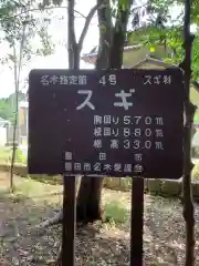 猿投神社の建物その他