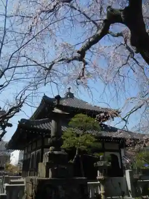 本覚寺のその他建物