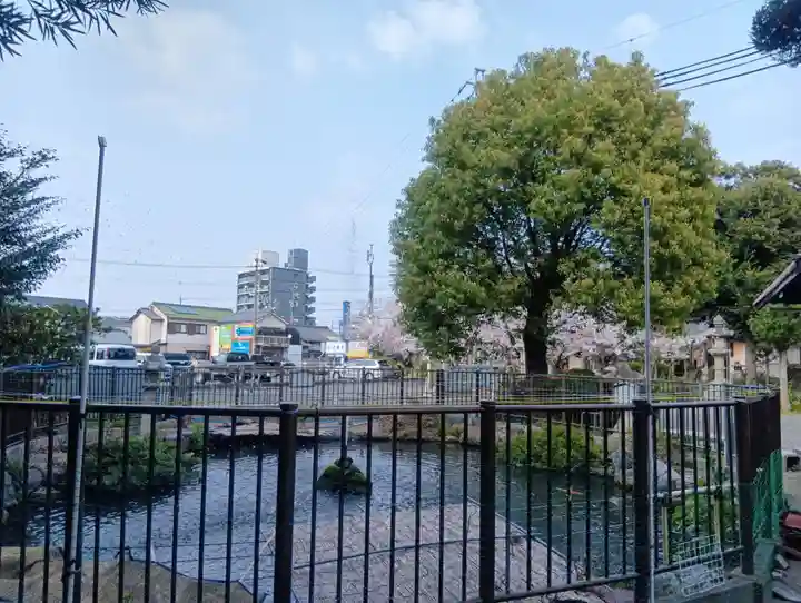 酒見神社の御朱印