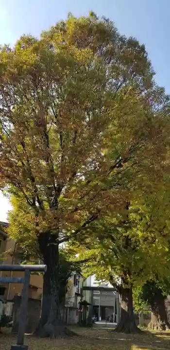 五北天祖神社のその他建物