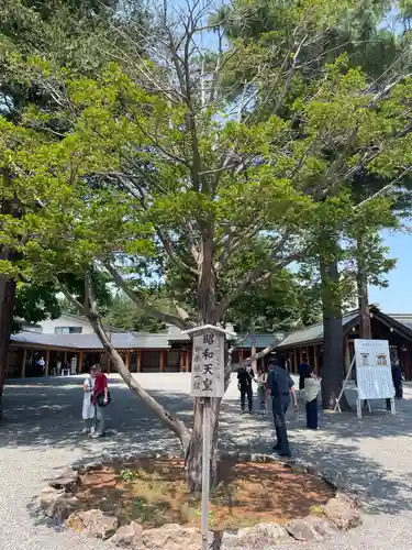 北海道神宮(北海道)