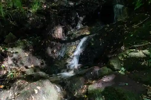 白山比咩神社の自然