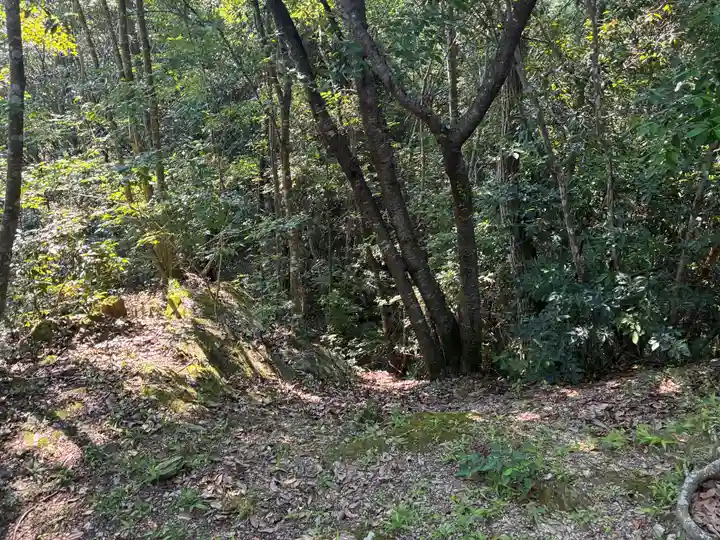 天一神社(徳島県)