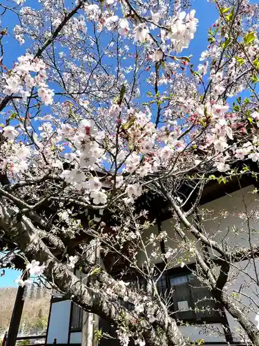長光寺(長野県)