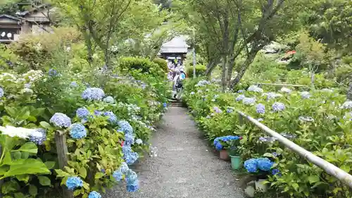 極楽寺の庭園