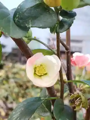 成子天神社(東京都)