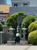 周泉寺(愛知県)