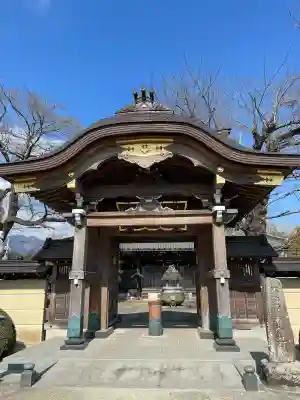 浄圓寺の{uncategorized: "未分類", other: "その他", undefined: "問題あり", building: "その他建物", grave: "お墓", sacred_gate: "鳥居", guardian: "狛犬", statue: "像", buddha: "仏像", history: "歴史", nature: "自然", garden: "庭園", animal: "動物", pagoda: "塔", temizu: "手水舎", mountain_gate: "山門・神門", sanctuary: "本殿・本堂", subordinate: "末社・摂社", art: "芸術", scenery: "景色", jizo: "地蔵", ema: "絵馬", goshuin: "御朱印", omikuji: "おみくじ", items: "授与品その他", amulet: "お守り", goshuincho: "御朱印帳", eats: "食事", festival: "お祭り", votive_dance: "神楽", shichigosan: "七五三参", wedding: "結婚式", experience: "体験その他", initially: "初詣", around: "周辺", anti_infection: "感染症対策"}