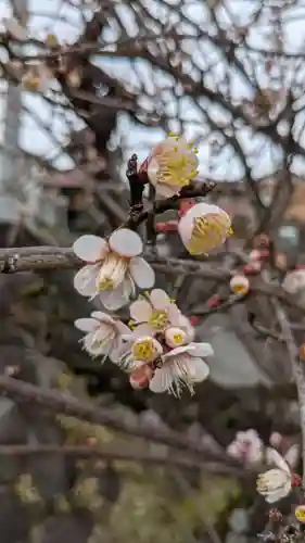 太部古天神社の自然