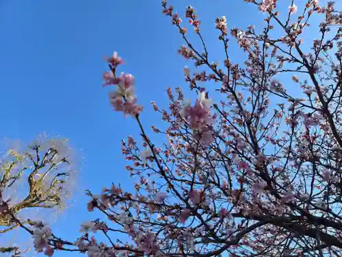 寛永寺不忍池弁天堂(東京都)