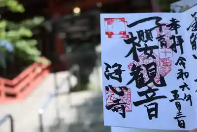 直書き御朱印いただきました😊