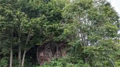 水神龍王神社の自然