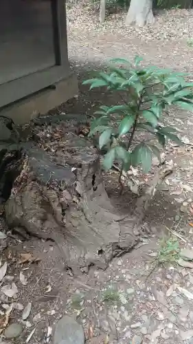 小金井神社(東京都)