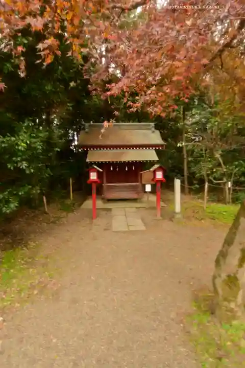 鷲宮神社(埼玉県)