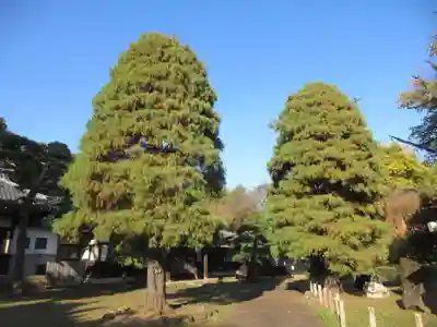 南蔵院(東京都)