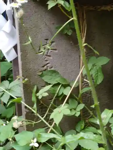 赤城神社(千葉県)